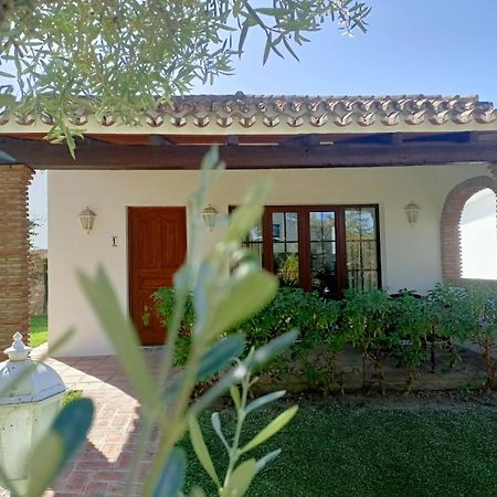 Tottam Art & Healthy Garden Villa Malaga Exterior photo
