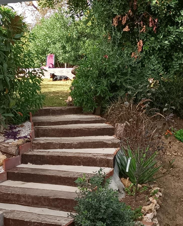 Tottam Art & Healthy Garden Villa Malaga Exterior photo