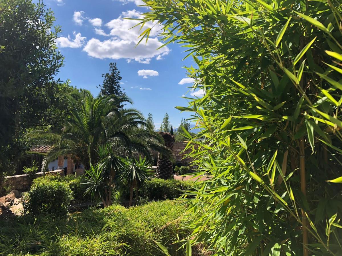 Tottam Art & Healthy Garden Villa Malaga Exterior photo
