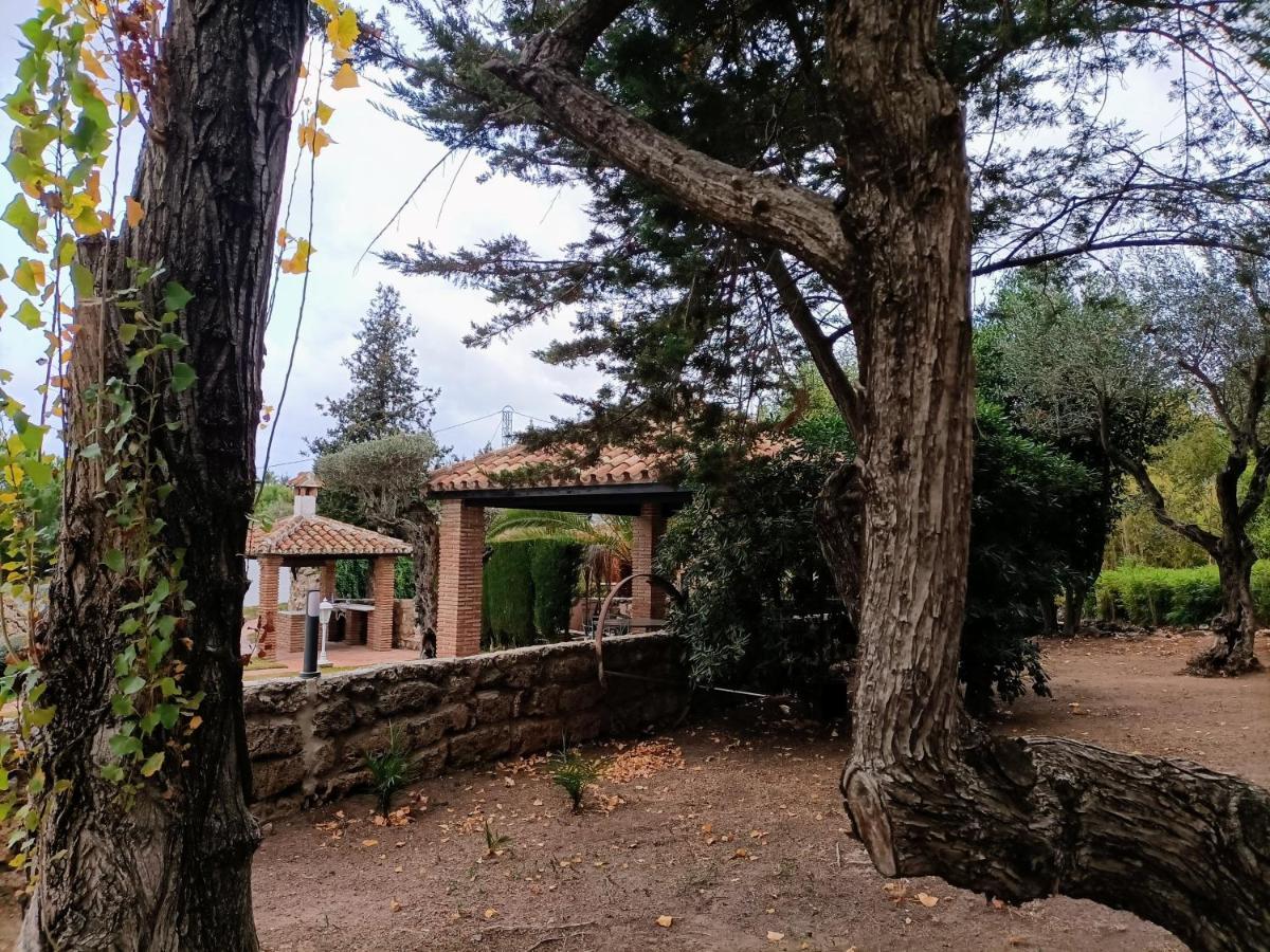Tottam Art & Healthy Garden Villa Malaga Exterior photo