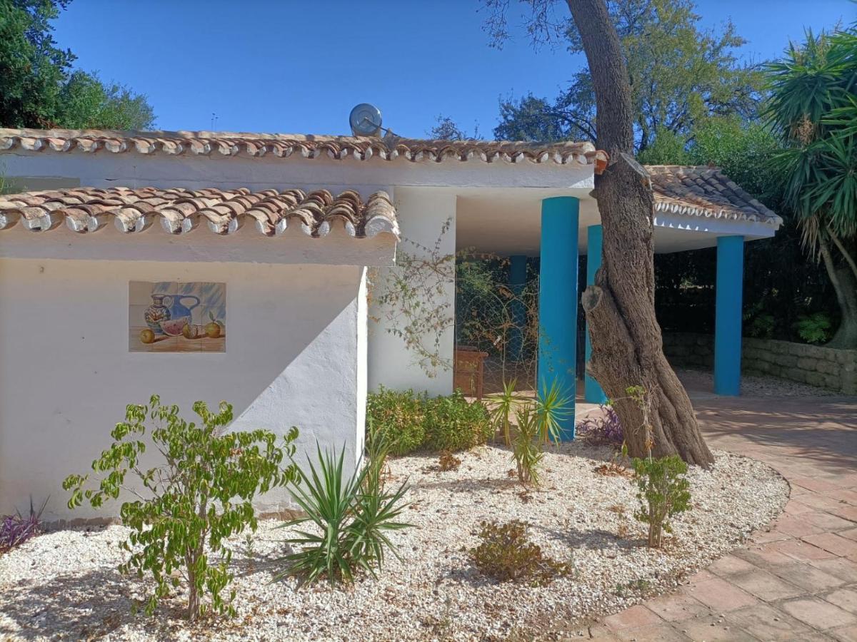 Tottam Art & Healthy Garden Villa Malaga Exterior photo