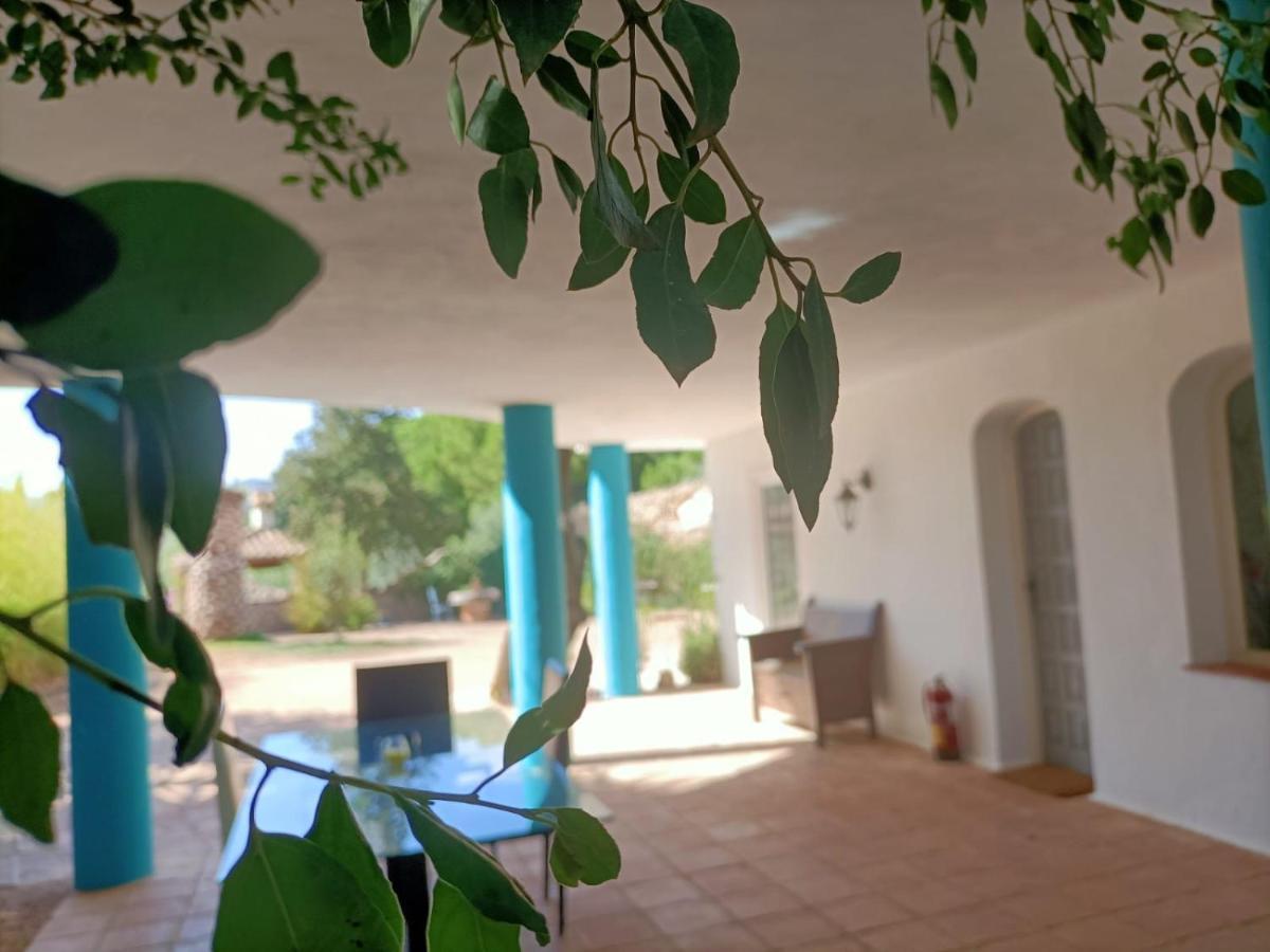 Tottam Art & Healthy Garden Villa Malaga Exterior photo
