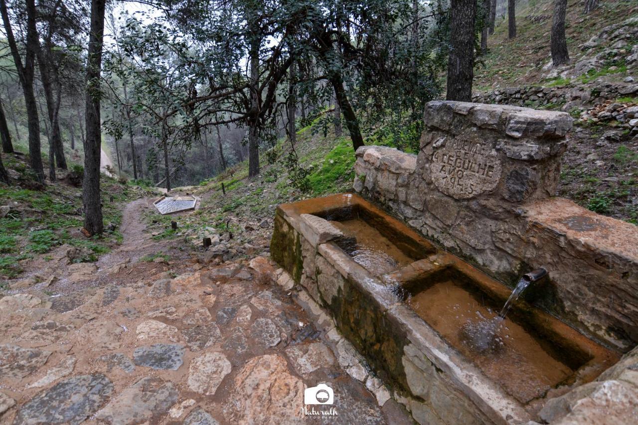 Tottam Art & Healthy Garden Villa Malaga Exterior photo