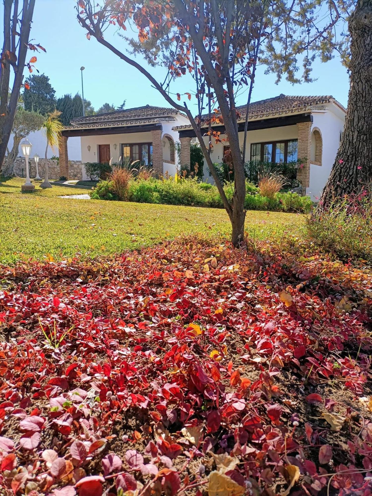 Tottam Art & Healthy Garden Villa Malaga Exterior photo